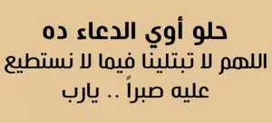 مني امجد 