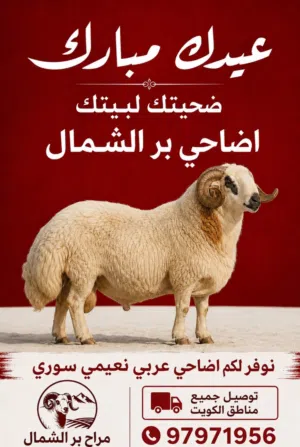 اضحيه نعيمي سوري طيب وشرط السمنه