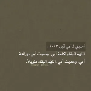خالد شراحيلي