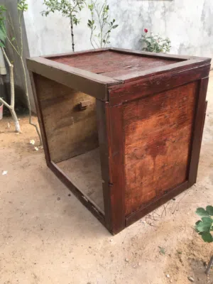 براكة دجاج