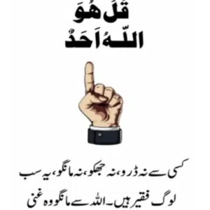 kamran 