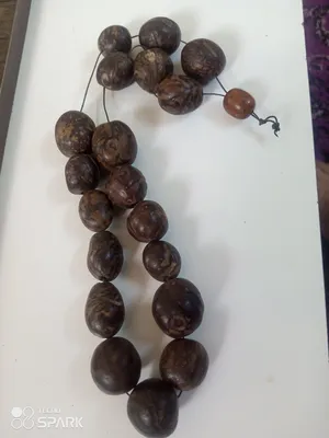 ‏نوادر‏2