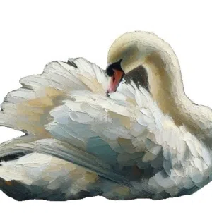 Fajoori 