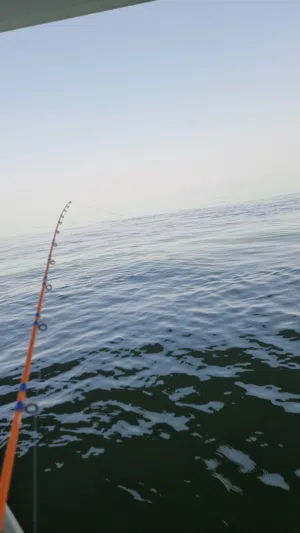 عبدالرحمن 