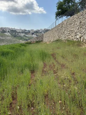 ارض زراعية سكنية للبيع