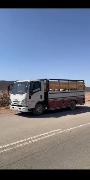 دينا ديانا للنقل إلى جميع المناطق وفي أي وقت