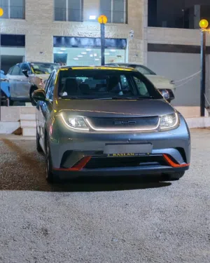 BYD DOLPHIN FASHION FULL OPTION