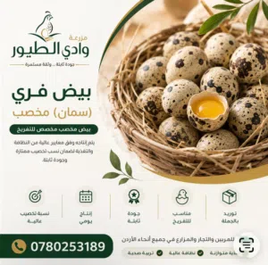 متوفر بيض فري سمان مخصب وللمائده الميه ب7 دينار كفالة تخصيب بأذن الله تعالى عمان توصيل لجميع مناطق ا
