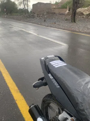 دراج للبيع