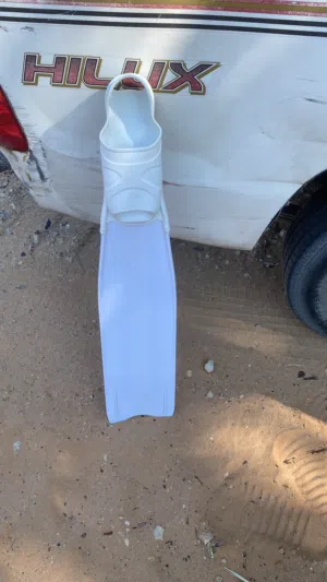 ريشات طوال
