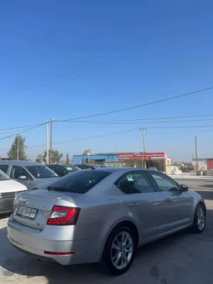 Used Skoda Octavia in Jericho