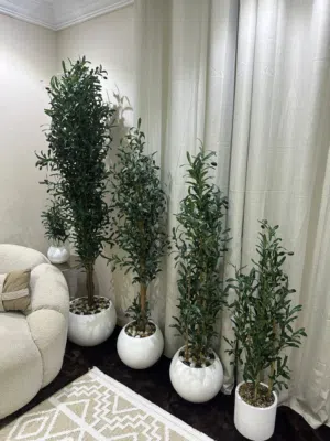 زرع صناعي بلجمله