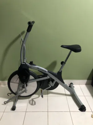 Platinum exercise bike adjustable
