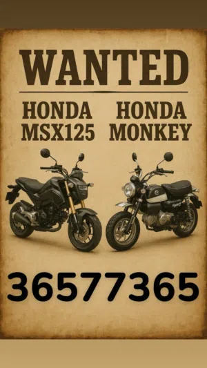 wanted honda Grom or Monkey in excellent condition