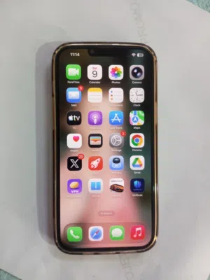 Iphone 13 pro max 256 gb