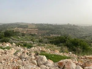 ارض للبيع موجوده في المدور