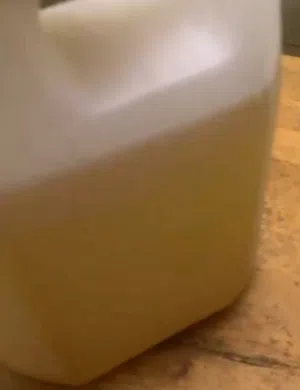 عسل نحل زهور مصري (5kg)