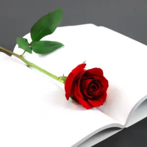 Hisham 