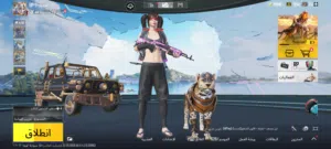 حساب ببجي للبيع اقرا الوصف