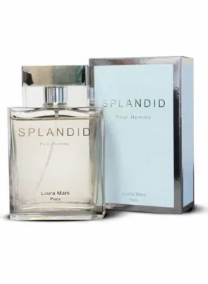 عطر سبلانديد بور هوم