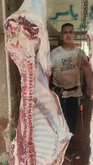 Cows0