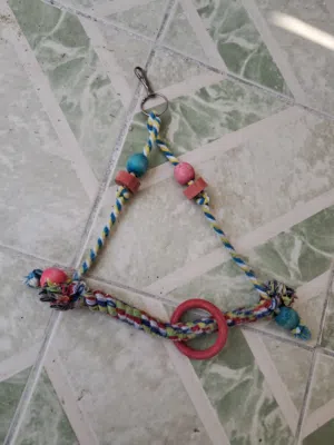 Birds accessories all types