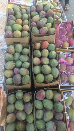 Fresh Vegetables & High Quality  Fruits available