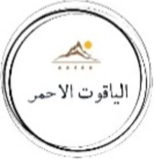 جودة ممتازة مناسب للمطاعم والتجار أسعار خاصة للكميات الكبيرة شحن وتوصيل سريع متوفر للرياض، جدة،