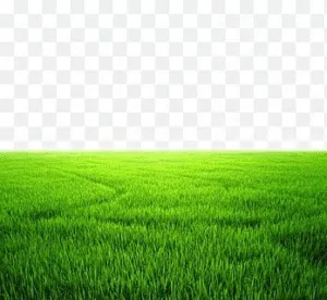 Mixed Use Land for Sale in Irbid Al Husn