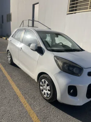 Used Kia Picanto in Amman