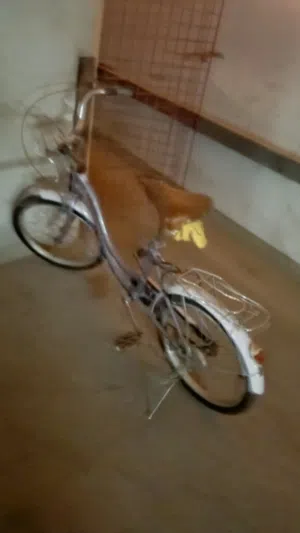 light bike