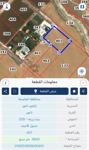 Residential Land for Sale in Amman Naour