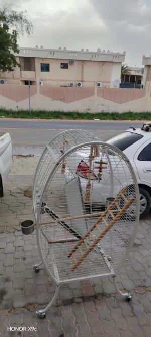 قفص صيور كبير