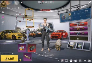Pubg Accounts and Characters for Sale in Fujairah