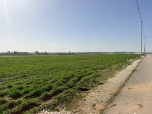 Residential . 500 m2 . Landlord1