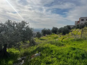 أرض للبيع بإطلالة غربية واصل جميع الخدمات