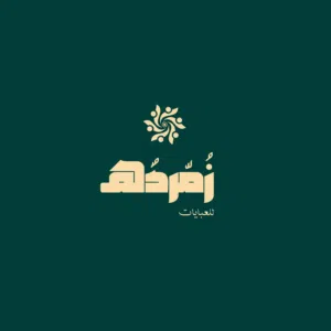 تصمیم باحترافیه للمشاریع واداره حسابات (ادمن)