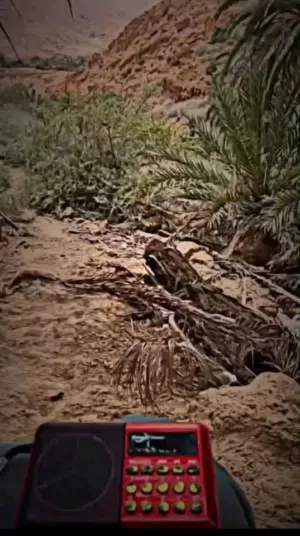 مسجل القران الكريم