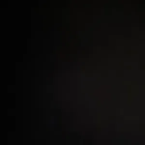 ناصر الديحاني 