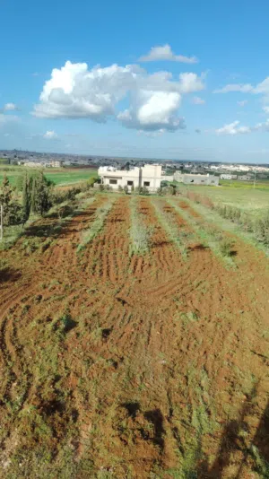 Residential Land for Sale in Ramtha Al Torra