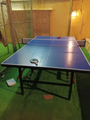 طاولة تنس خارجي مطري نخب فعلي ميلامين