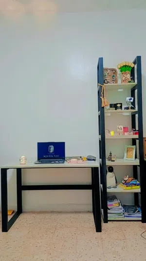 مكاتب دراسية فخمة مع ديكور رفوف الكتب دون االمرآة