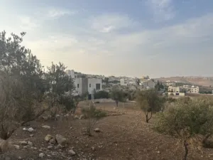 Residential Land for Sale in Amman Shafa Badran