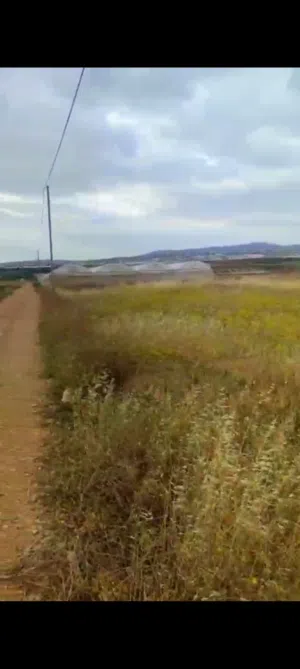 Commercial Land for Sale in Jenin Beit Qad