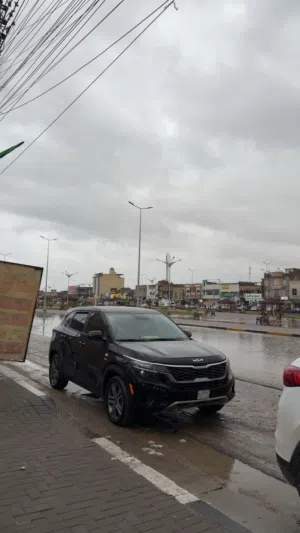 سلتوس 2023