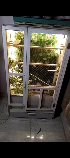 قفص عصافير