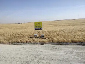 ارض للبيع الذهيبة الشرقيه