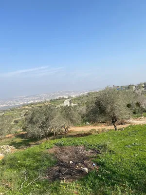 Mixed Use Land for Sale in Salfit Askaka
