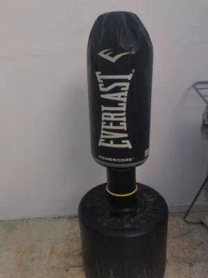 boxing Everlast