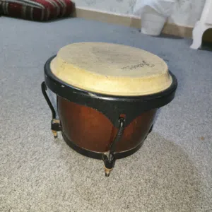 للبيع طبلة بونجو احترافية. Professional bongo drum for sale